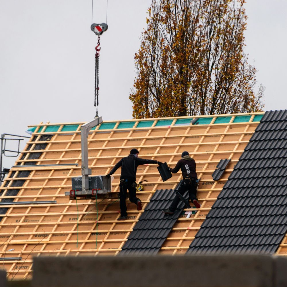 portfolio-photo-Dachverbund